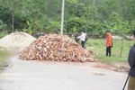 Hiện trường nơi cháu D. bị đàn chó tấn công chiều tối 3/4 (Ảnh: PV/Vietnam+) 