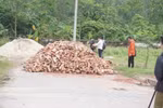 Hiện trường nơi cháu D. bị đàn chó tấn công chiều tối 3/4 (Ảnh: PV/Vietnam+) 