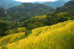 Ruộng bậc thang Hoàng Su Phì. (Ảnh: Minh Tâm/TTXVN)