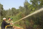 Diễn tập chữa cháy Vườn quốc gia U Minh Hạ. (Ảnh: Tràng Dương/TTXVN)