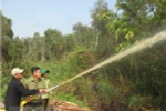 Diễn tập chữa cháy Vườn quốc gia U Minh Hạ. (Ảnh: Tràng Dương/TTXVN)