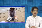 Rap News số 12