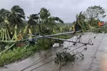 Cột điện và cây cối bị gió quật đổ khi bão Molave đổ bộ thị trấn Pola, tỉnh Oriental Mindoro, Philippines, ngày 26/10/2020. (Ảnh: AFP/TTXVN)