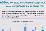 ADB dự báo tăng trưởng kinh tế của Việt Nam giảm nhẹ xuống mức 6,5% 