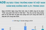 ADB dự báo tăng trưởng kinh tế của Việt Nam giảm nhẹ xuống mức 6,5% 