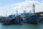 Tàu cá khai thác xa bờ của ngư dân neo đậu tại bến cá Mỹ Tân (xã Thanh Hải, huyện Ninh Hải, Ninh Thuận). (Ảnh: Nguyễn Thành/TTXVN)