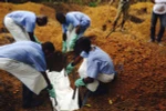 Không đưa lao động sang các vùng có khả năng lây dịch Ebola