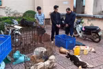 Các đối tượng bị tạm giữ, điều tra. (Ảnh: CTV/TTXVN)
