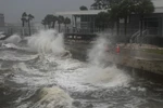 Sóng đánh vào cầu tàu St Pete ở St Petersburg, Florida, ngày 9/10. (Ảnh: Getty Images)