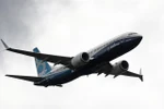 Máy bay Boeing 737 Max bay trình diễn tại Triển lãm hàng không Farnborough, phía Tây thủ đô London, Anh. (Ảnh: AFP/TTXVN)