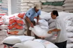 Xuất khẩu gạo cuối năm: Các thị trường truyền thống đang trở lại