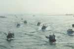 Đà Nẵng đưa nhiều tàu công suất lớn vươn khơi, bám biển