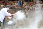 Tăng phòng chống, sẵn sàng ứng phó dịch bệnh cúm A/H5N6