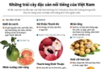[Infographics] Những trái cây đặc sản nổi tiếng của Việt Nam