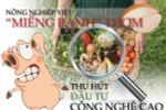 Nông nghiệp Việt Nam ngày càng hút các "đại gia" tham gia đầu tư vào lĩnh vực tiềm năng này. (Đồ họa: Thanh Trà/Vietnam+)