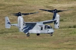 Máy bay MV-22 Osprey của quân đội Mỹ. (Nguồn: Kyodo/TTXVN)