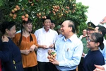 Thủ tướng Nguyễn Xuân Phúc phát biểu kết luận buổi làm việc. (Ảnh: Thống Nhất/TTXVN)