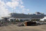 Du thuyền Diamond Princess neo tại cảng Yokohama, Nhật Bản, ngày 19/2. (Ảnh: THX/TTXVN)