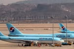 Máy bay của hãng hàng không Korean Air Lines. (Nguồn: Yonhap)