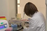 [Video] Thuốc đuổi côn trùng có thể diệt virus SARS-CoV-2