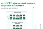 [Infographics] Đã có 918 bệnh nhân mắc COVID-19 được công bố khỏi bệnh
