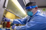Nhân viên y tế tiến hành xét nghiệm mẫu bệnh phẩm COVID-19 trong phòng thí nghiệm. (Ảnh: AFP/TTXVN)
