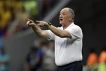 Liên đoàn bóng đá Brazil vẫn cảm ơn Scolari sau thảm họa