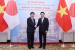 Phó Thủ tướng, Bộ trưởng Bộ Ngoại giao Phạm Bình Minh với Bộ trưởng Ngoại giao Nhật Bản Motegi Toshimitsu. (Ảnh: Lâm Khánh/TTXVN)
