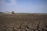 Đáy hồ Aleixo ở khu vực Manaus, Amazonas, Brazil nứt nẻ do hạn hán ngày 23/10. (Nguồn: AFP/TTXVN)
