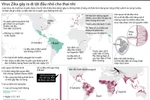 [Infographics] Những điều cần biết về virus Zika gây teo não 