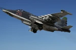 Máy bay chiến đấu Su-25 của Không quân Nga. (Ảnh: RIA Novosti)