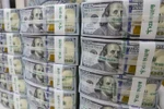 Đồng USD. (Ảnh: EPA/TTXVN)