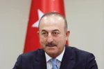 Ngoại trưởng Thổ Nhĩ Kỳ Mevlut Cavusoglu phát biểu trong cuộc họp báo ở Ankara ngày 29/7. (Nguồn: AFP/TTXVN)