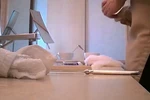 Ảnh cắt từ đoạn clip. (Nguồn: Weibo) 