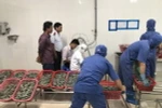 Số tôm chứa tạp chất bị tạm giữ xử lý theo quy định của pháp luật. (Ảnh: Huỳnh Sử/TTXVN)