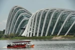 Khách du lịch tham quan vịnh Marina ở Singapore. (Nguồn: AFP/TTXVN)