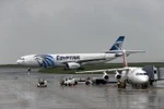 Một máy bay Airbus A330 của Egyptair hạ cánh xuống sân bay Charles de Gaulle ở Paris, vài giờ sau khi máy bay MS804 mất tích, ngày 19/5. (Nguồn: AFP/ TTXVN)