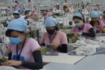 Sản xuất quần áo tại Công ty trách nhiệm hữu hạn một thành viên Dệt may PanKo Tam Thăng. (Ảnh: Đoàn Hữu Trung/TTXVN)