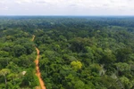 Ảnh minh họa. (Nguồn: unenvironment.org) 