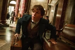 Scamander trong 'Fantastic Beasts and Where to Find Them."(Nguồn: theguardian.com)