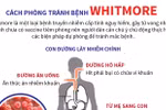 [Infographics] Những cách phòng tránh bệnh Whitmore nguy hiểm
