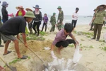 Ngư dân xã biển Đức Trạch (huyện Bố Trạch, Quảng Bình) cùng lực lượng biên phòng thu gom, chôn lấp cá chết dạt vào bờ. (Ảnh: Võ Dung/TTXVN)