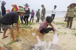 Ngư dân xã biển Đức Trạch (huyện Bố Trạch, Quảng Bình) cùng lực lượng biên phòng thu gom, chôn lấp cá chết dạt vào bờ. (Ảnh: Võ Dung/TTXVN)