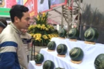 Dưa hấu tròn được chạm trổ "lạ" công phu thu hút người tiêu dùng mua tại Hội chợ. (Ảnh: Thanh Tâm/Vietnam+)