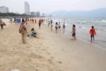 Bãi biển Đà Nẵng. (Ảnh: Trần Lê Lâm/TTXVN)