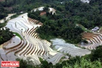 Ruộng bậc ở xã Nậm Ty.