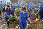 Đoàn viên thanh niên thu gom rác thải ở Thành phố Hồ Chí Minh. (Ảnh: An Hiếu/TTXVN)