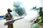 Phun thuốc phòng chống dịch bệnh. (Ảnh: Dương Ngọc/TTXVN)