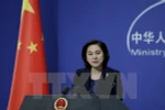 Người phát ngôn Bộ Ngoại giao Trung Quốc Hoa Xuân Oánh. (Ảnh: Reuters/TTXVN)