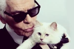 'Cô mèo' Choupette có thể được thừa kế tài sản của Lagerfeld. (Nguồn: The Times)